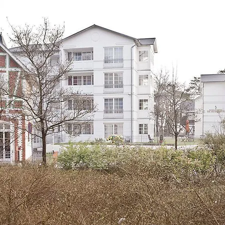 Aurelia St.hubertus