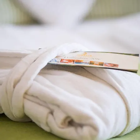 Hotel Aurelia St.hubertus 4*